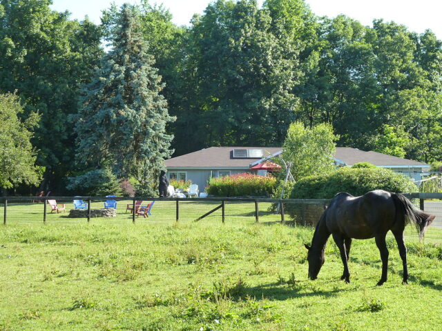 Whistlewood Farm B&B