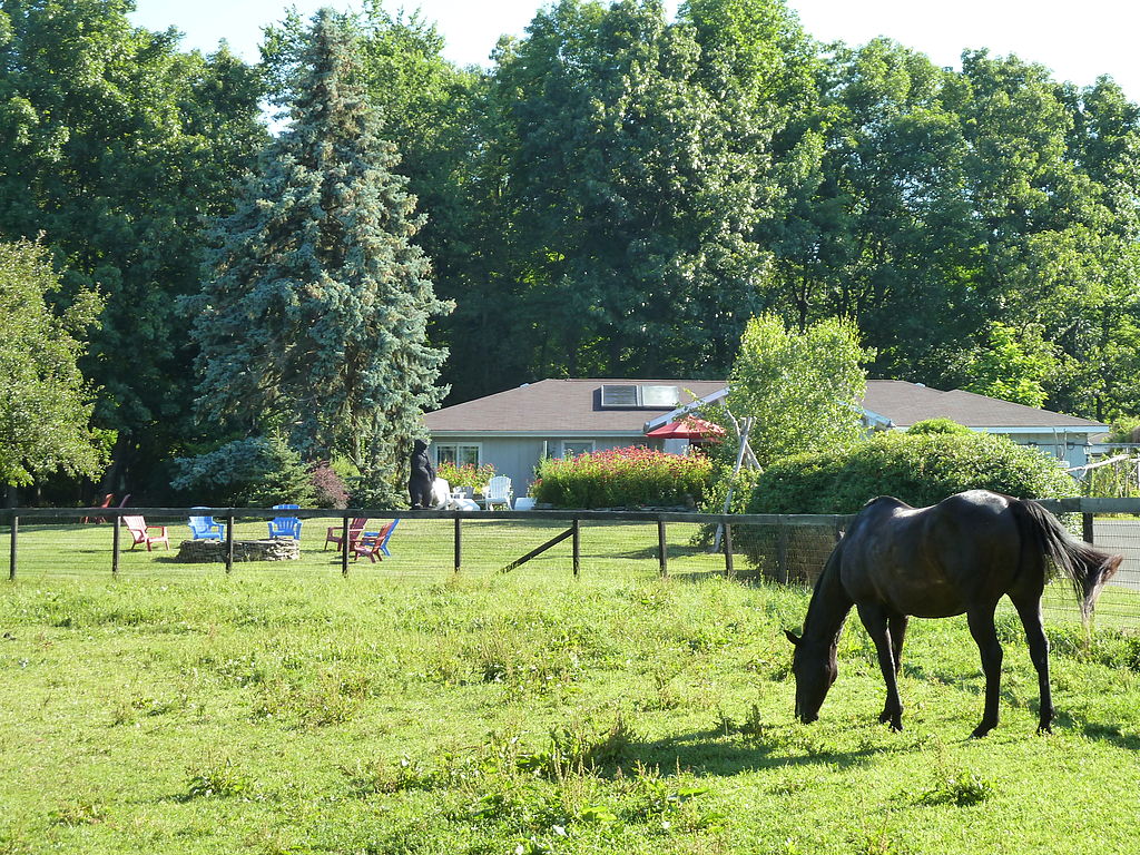 Whistlewood Farm B&B