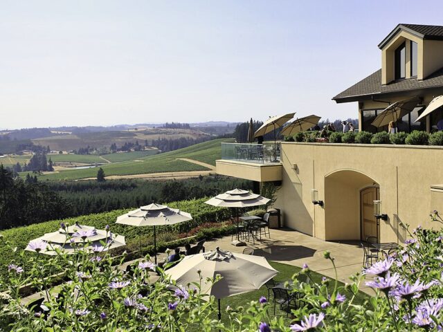 Willamette Valley Vineyards