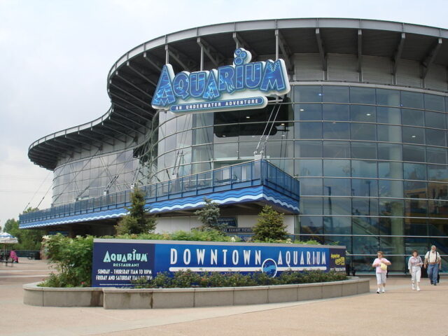 Downtown Aquarium
