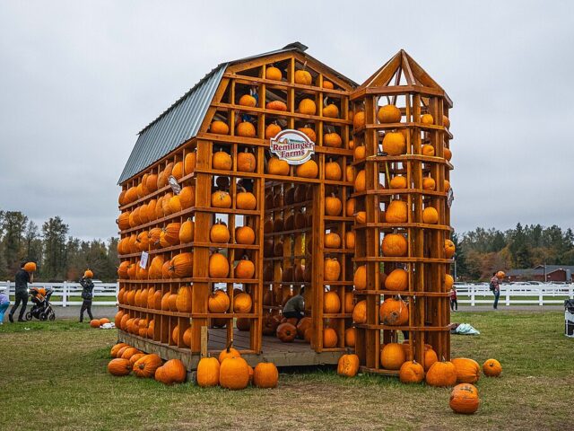 Remlinger Farms
