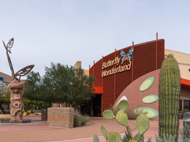 Butterfly Wonderland