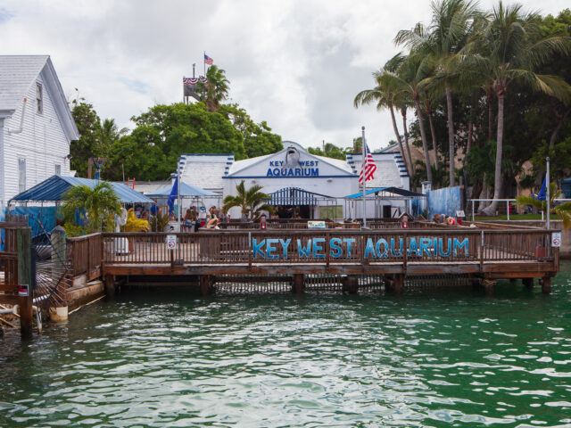 Key West Aquarium