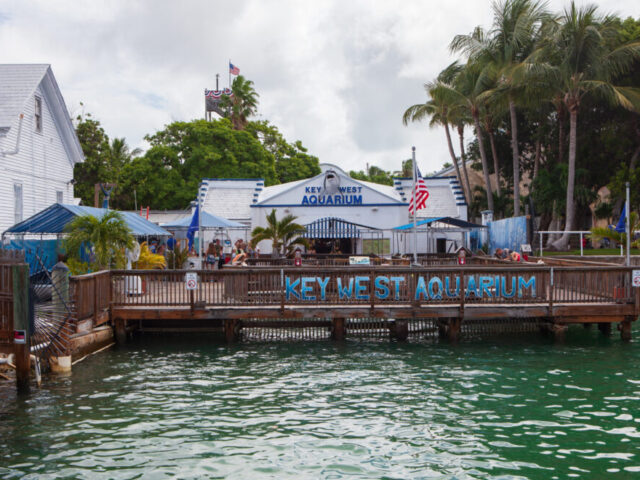Key West Aquarium
