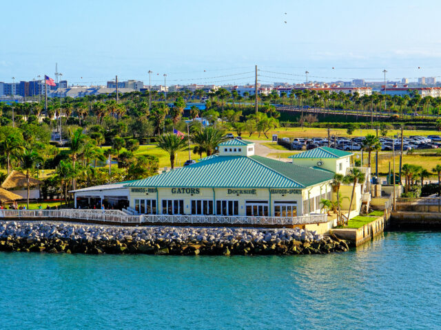 Gators Portside