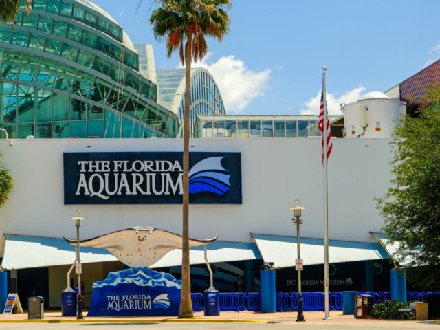 The Florida Aquarium