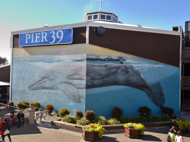 Aquarium of the Bay