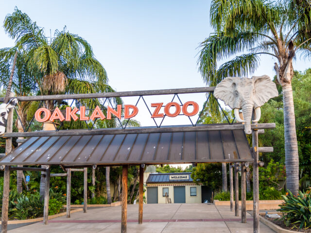 Oakland Zoo