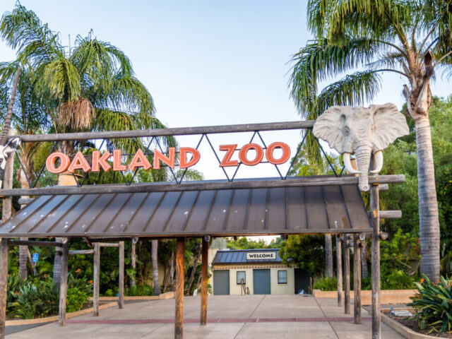 Oakland Zoo