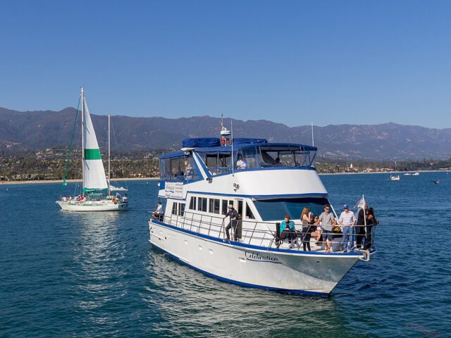 Celebration Cruises