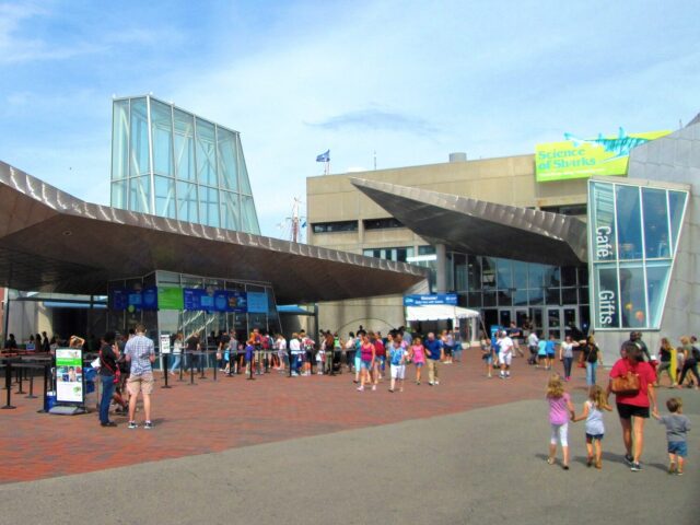 New England Aguarium