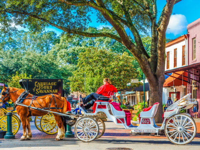 Carriage Tours Savannah