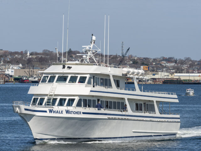 Hyannis Whale Watcher Cruises