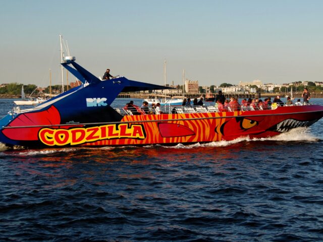 Codzilla speed boat Tours