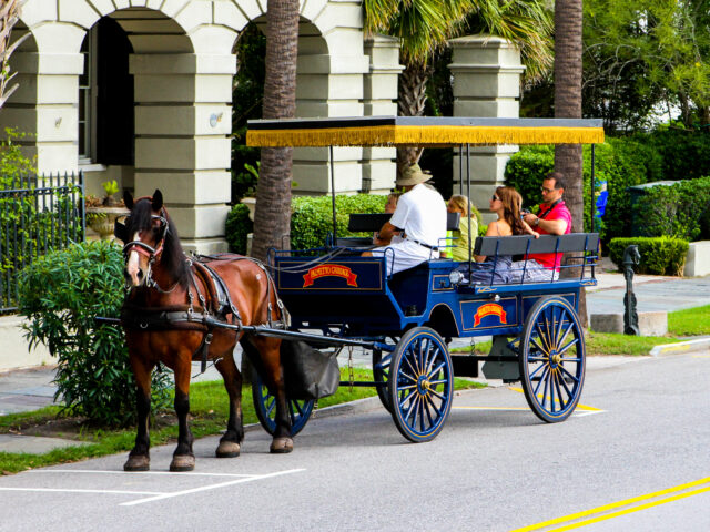 Palmetto Carriage Works