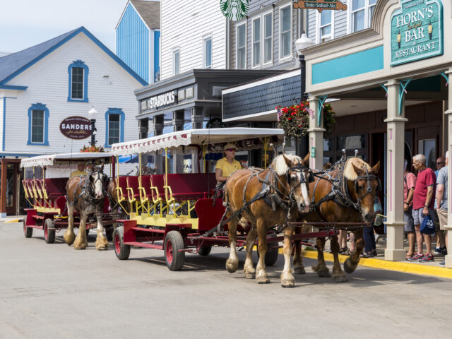 Mackinac Island Carriage Tour