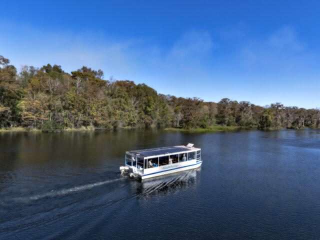 Wakulla Springs Boat Tour