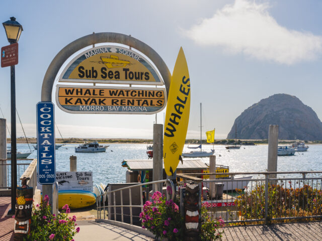 Sub Sea Tours & Kayaks