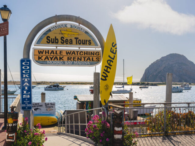 Sub Sea Tours & Kayaks