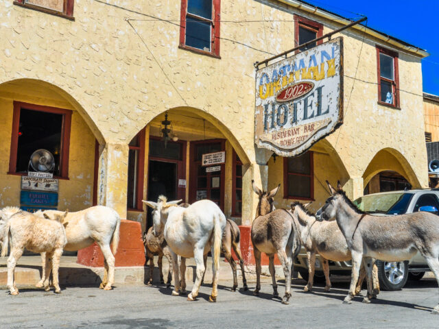 Oatman Hotel Restaurant & Saloon