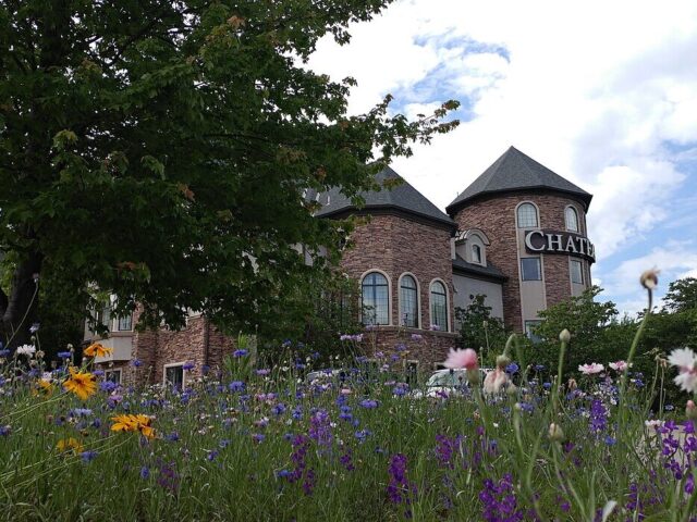 Chateau Avalon Hotel